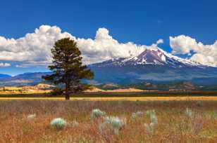 Mt. Shasta-3257.jpg